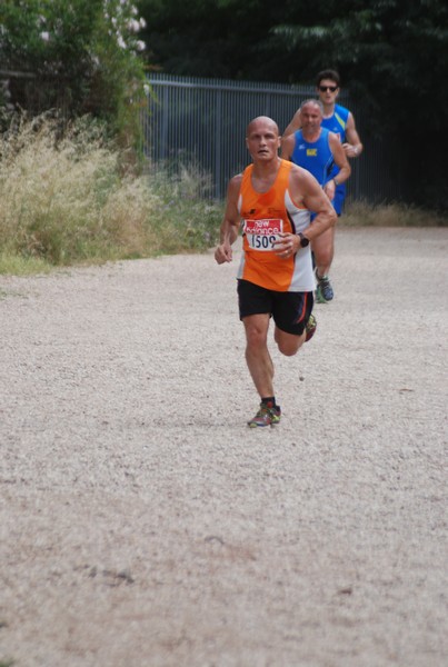 Solstizio d'estate ( C.E.)  (14/06/2015) 00063