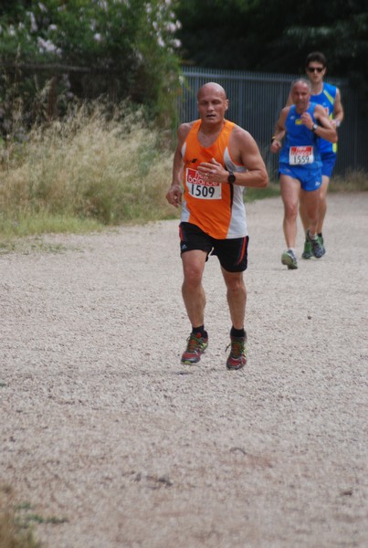 Solstizio d'estate ( C.E.)  (14/06/2015) 00064