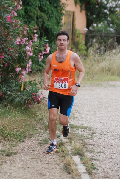 Solstizio d'estate ( C.E.)  (14/06/2015) 00074
