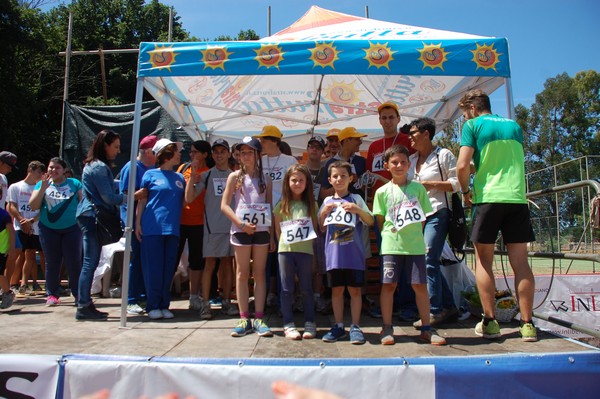 Trofeo Città di Nettuno (02/06/2015) 00017