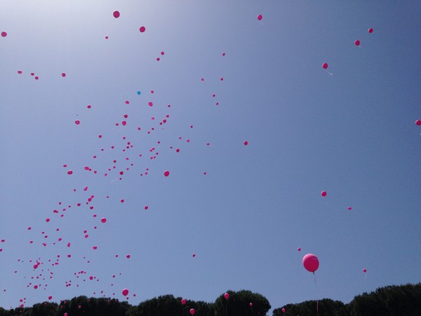 Race For The Cure (17/05/2015) 00018