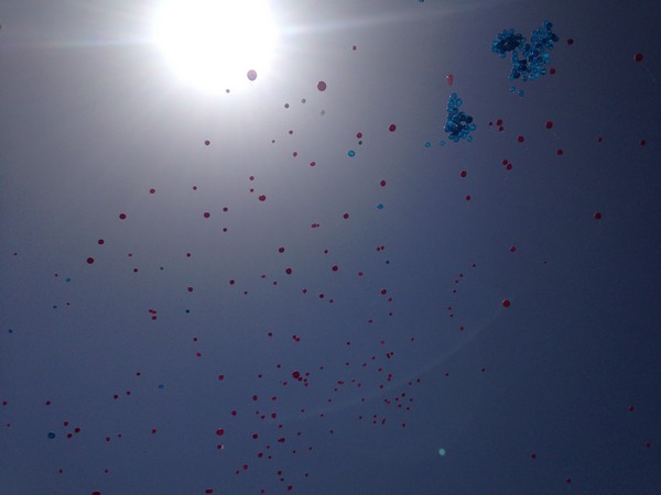 Race For The Cure (17/05/2015) 00019