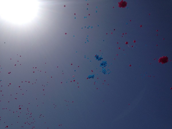 Race For The Cure (17/05/2015) 00020