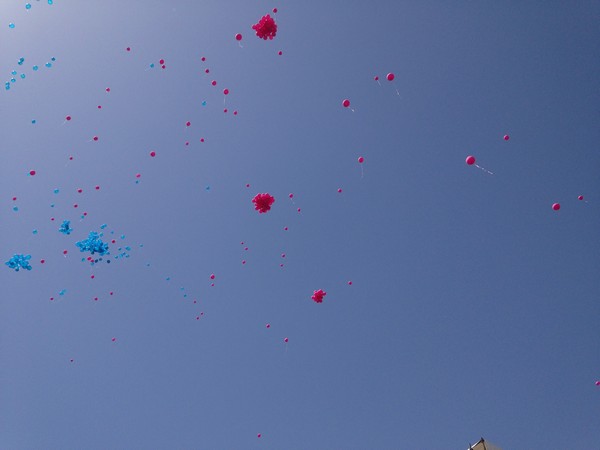 Race For The Cure (17/05/2015) 00021