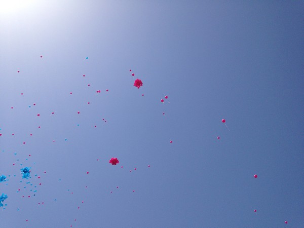 Race For The Cure (17/05/2015) 00022