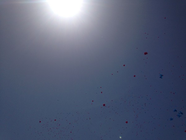 Race For The Cure (17/05/2015) 00024