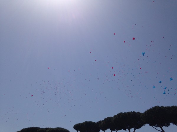 Race For The Cure (17/05/2015) 00026