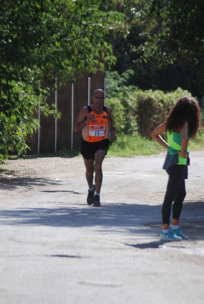 Corsa delle 3 Ville (C.E.) (06/09/2015) 00029