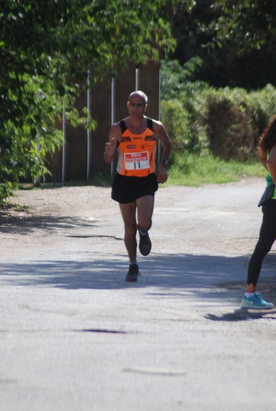 Corsa delle 3 Ville (C.E.) (06/09/2015) 00030