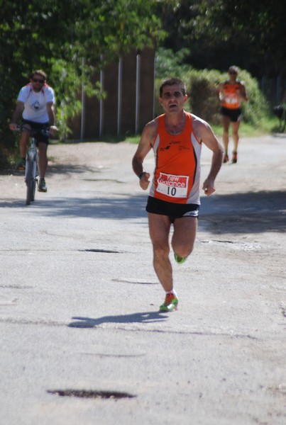Corsa delle 3 Ville (C.E.) (06/09/2015) 00063