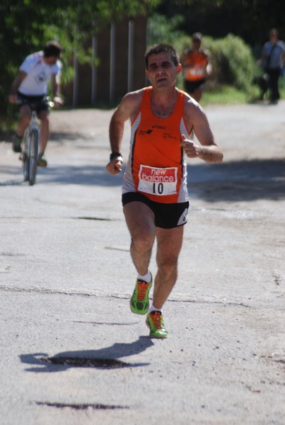 Corsa delle 3 Ville (C.E.) (06/09/2015) 00065