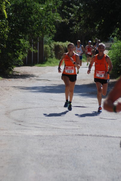 Corsa delle 3 Ville (C.E.) (06/09/2015) 00161