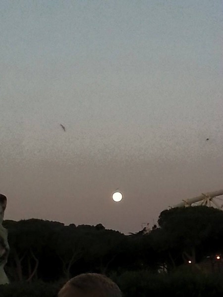 Alba Race (03/06/2015) 00047