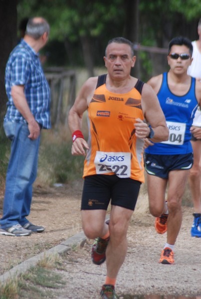 Solstizio d'estate ( C.E.)  (14/06/2015) 00005