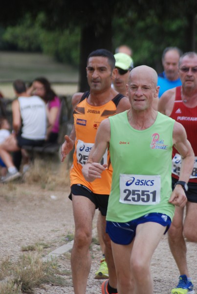 Solstizio d'estate ( C.E.)  (14/06/2015) 00013