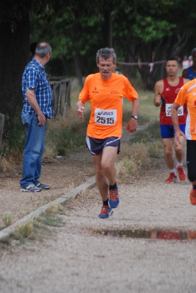 Solstizio d'estate ( C.E.)  (14/06/2015) 00017