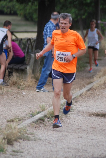 Solstizio d'estate ( C.E.)  (14/06/2015) 00019