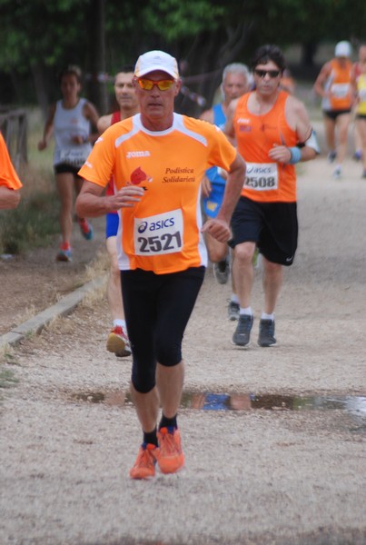 Solstizio d'estate ( C.E.)  (14/06/2015) 00020
