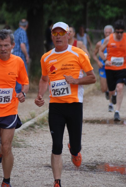 Solstizio d'estate ( C.E.)  (14/06/2015) 00022