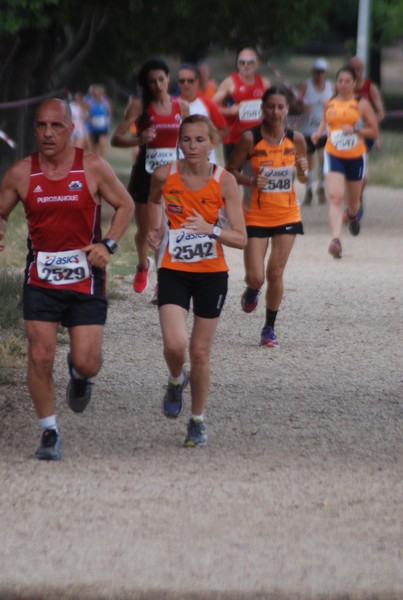 Solstizio d'estate ( C.E.)  (14/06/2015) 00028
