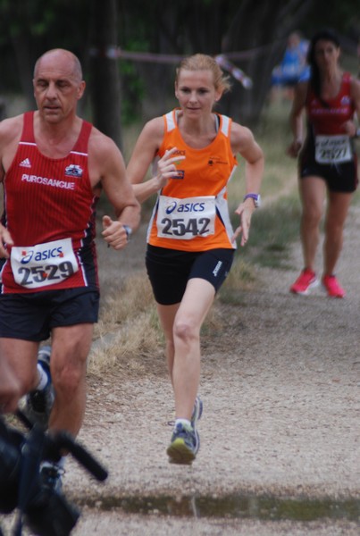 Solstizio d'estate ( C.E.)  (14/06/2015) 00030