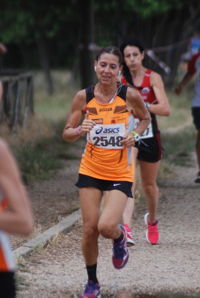 Solstizio d'estate ( C.E.)  (14/06/2015) 00033
