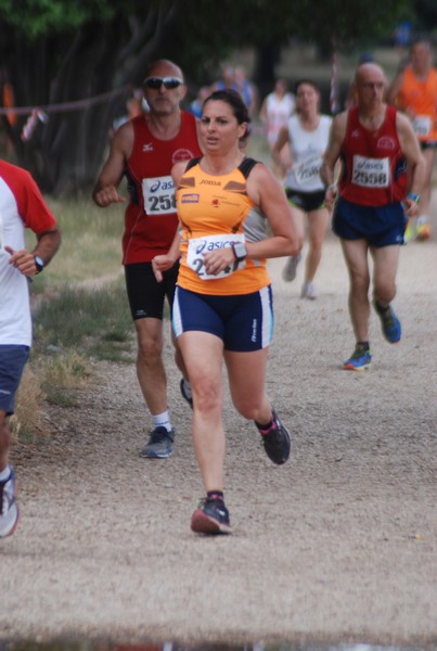 Solstizio d'estate ( C.E.)  (14/06/2015) 00035