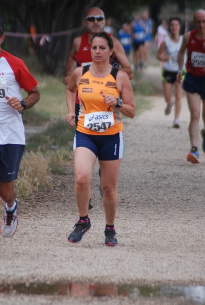 Solstizio d'estate ( C.E.)  (14/06/2015) 00036