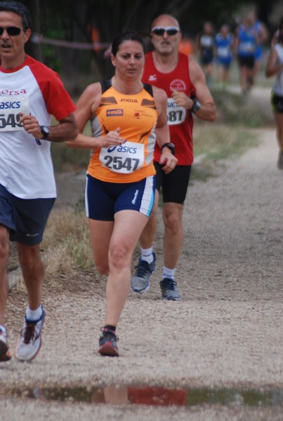 Solstizio d'estate ( C.E.)  (14/06/2015) 00037