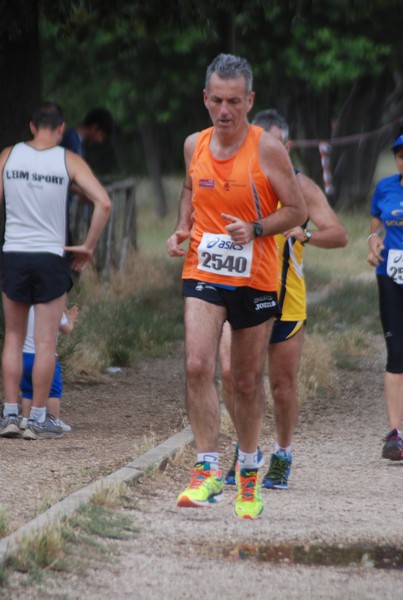 Solstizio d'estate ( C.E.)  (14/06/2015) 00039
