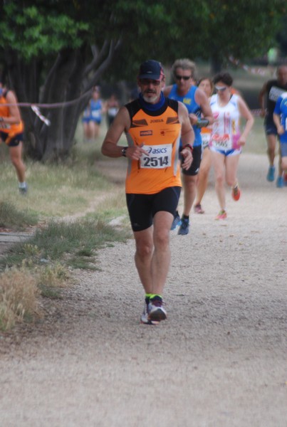 Solstizio d'estate ( C.E.)  (14/06/2015) 00044