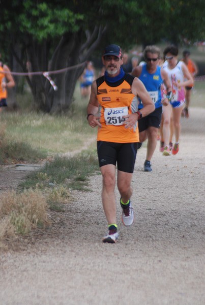 Solstizio d'estate ( C.E.)  (14/06/2015) 00045