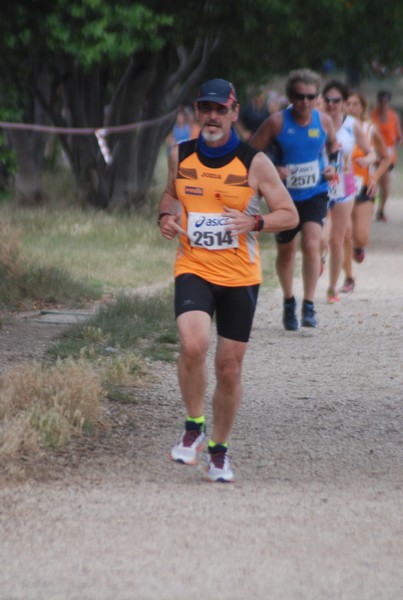 Solstizio d'estate ( C.E.)  (14/06/2015) 00046