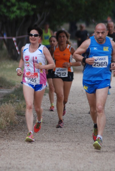 Solstizio d'estate ( C.E.)  (14/06/2015) 00049