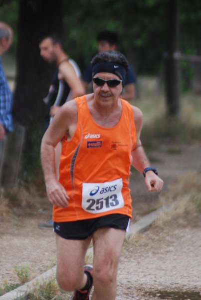 Solstizio d'estate ( C.E.)  (14/06/2015) 00056