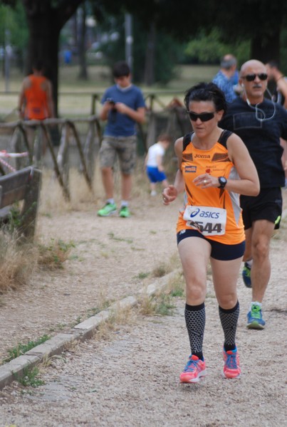 Solstizio d'estate ( C.E.)  (14/06/2015) 00061