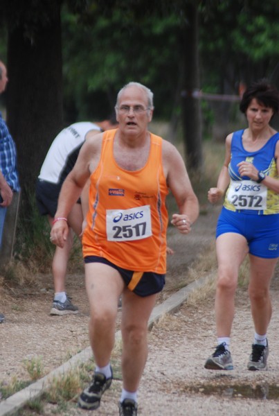 Solstizio d'estate ( C.E.)  (14/06/2015) 00065