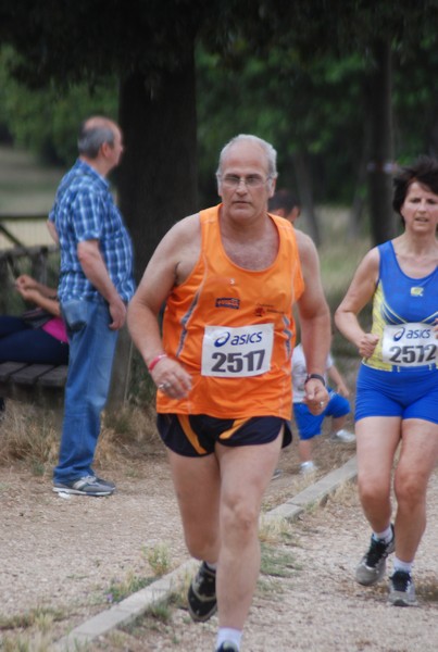 Solstizio d'estate ( C.E.)  (14/06/2015) 00066