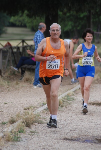 Solstizio d'estate ( C.E.)  (14/06/2015) 00067