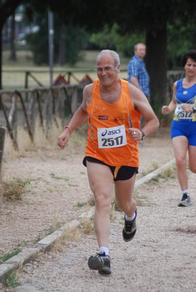 Solstizio d'estate ( C.E.)  (14/06/2015) 00069