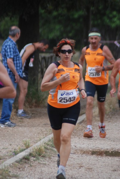 Solstizio d'estate ( C.E.)  (14/06/2015) 00072
