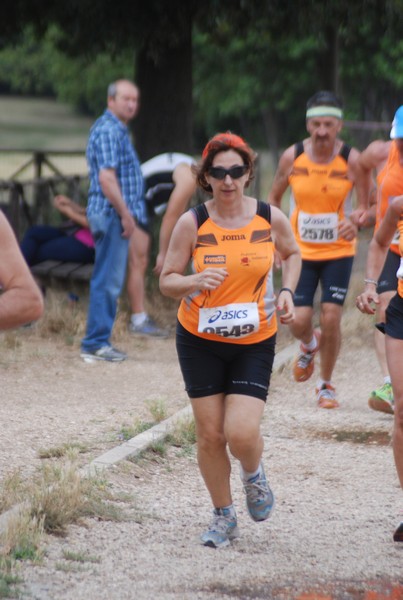 Solstizio d'estate ( C.E.)  (14/06/2015) 00073