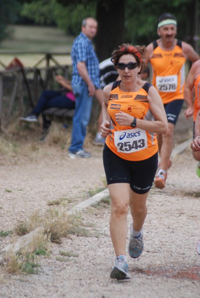 Solstizio d'estate ( C.E.)  (14/06/2015) 00074