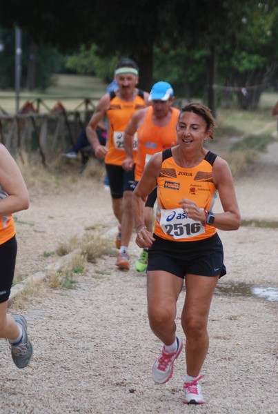 Solstizio d'estate ( C.E.)  (14/06/2015) 00078