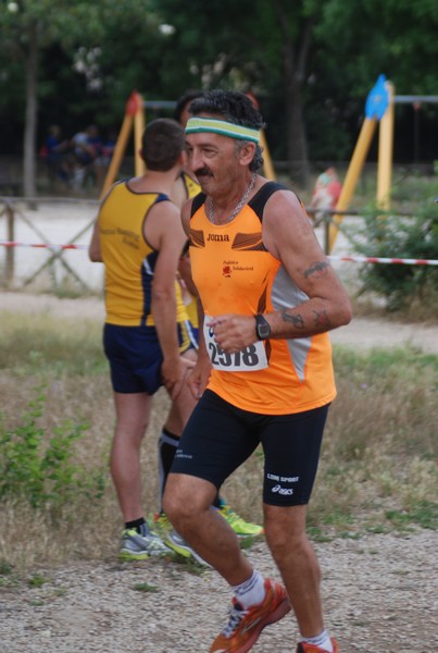 Solstizio d'estate ( C.E.)  (14/06/2015) 00084