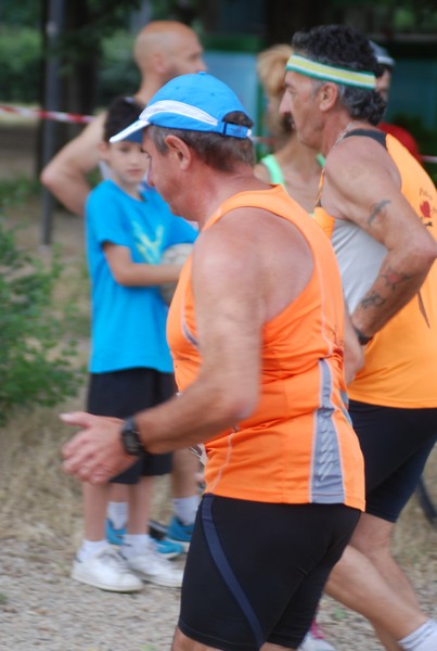 Solstizio d'estate ( C.E.)  (14/06/2015) 00087