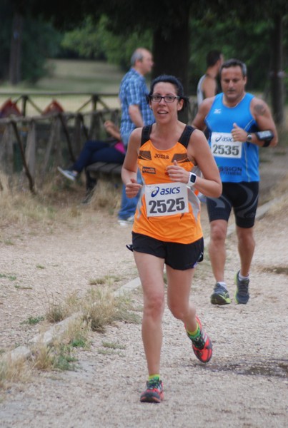 Solstizio d'estate ( C.E.)  (14/06/2015) 00088