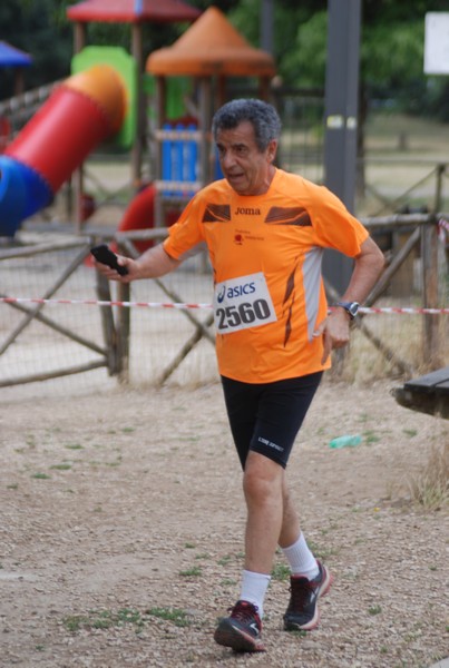 Solstizio d'estate ( C.E.)  (14/06/2015) 00105