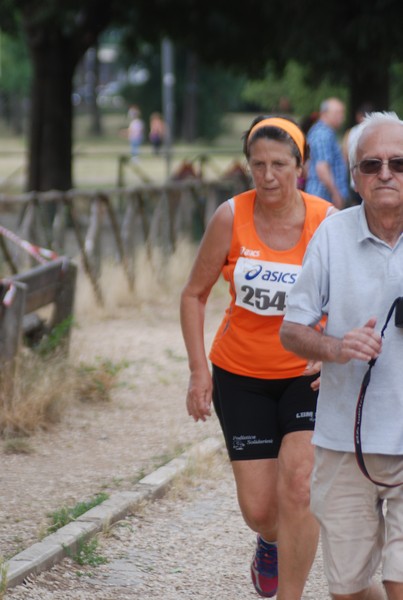 Solstizio d'estate ( C.E.)  (14/06/2015) 00110