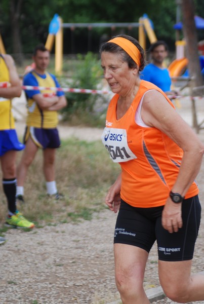 Solstizio d'estate ( C.E.)  (14/06/2015) 00112